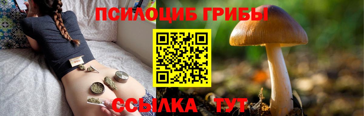 Саратов  Псилоцибиновые грибы прущие грибы  Вход с VPN 